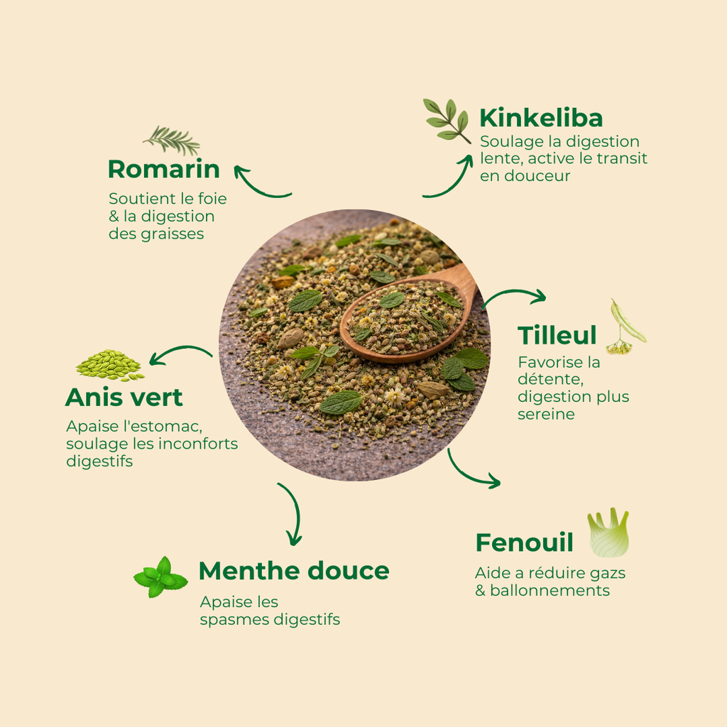 Découvrez notre gamme digestion afin de faciliter la digestion, apaiser l'estomac, et favoriser la détente. Cela vous aidera également à réduire gazs et ballonnements.