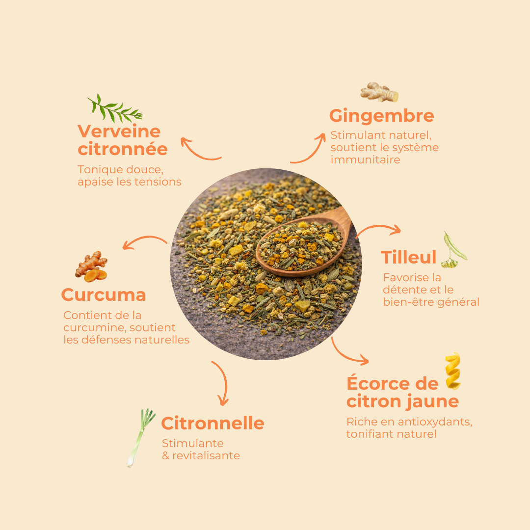 Découvrez notre gamme immunité et énergie composée de verveine citronnée, gingembre, tilleul, curcuma, citronnelle et écorce de citron jaune. Cela vous aidera à vous tonifier, soutenir les défenses naturelles, stimuler le corps !