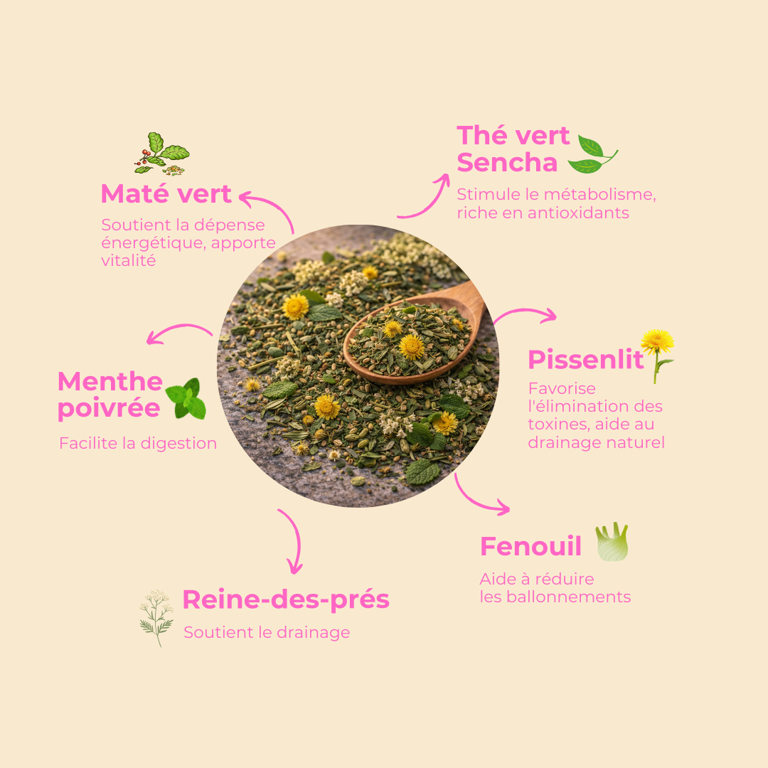 Découvrez notre gamme Silhouette composée de maté vert, thé vert sencha, menthe poivrée, pissenlit, fenouil et reine-des-prés. Pour pouvoir faciliter la digestion, aider à réduire les ballonnement et éliminer les toxines en un rien de temps.